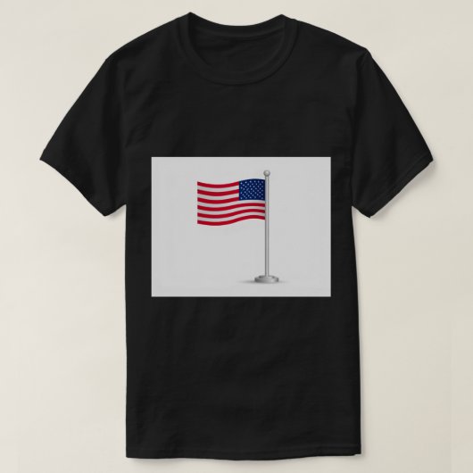 american flag tシャツ (デザイン正面)