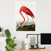 American Flamingo by John James Audubon ポスター (ホームオフィス)