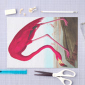 American Flamingo by John James Audubon 薄葉紙 (クラフト)