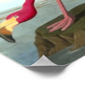 American Flamingo, John James Audubon ポスター (角)