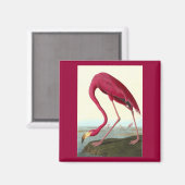 American Flamingo, John James Audubon マグネット (正面/裏面)