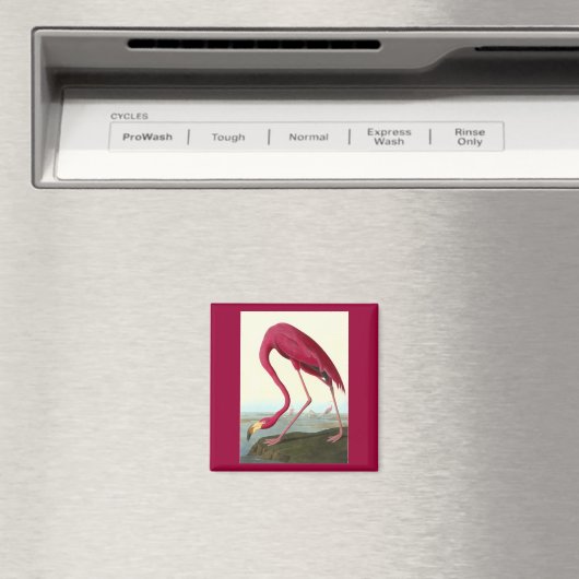 American Flamingo, John James Audubon マグネット (インサイチュ (食洗機))