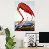 American Flamingo - Wildlife by John Audubon ポスター (ホームオフィス)