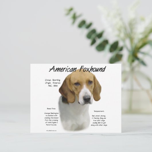 American Foxhound History, All About Foxhounds ポストカード (スタンド正面)