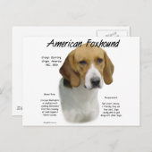 American Foxhound History, All About Foxhounds ポストカード (正面/裏面)