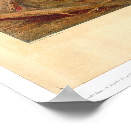 American Frontier (0021A) ポスター (角)