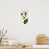 American Golden crested-Wren by Audubon Poster ポスター (キッチン)