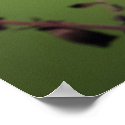 American Goldfinch Poster ポスター (角)