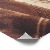 AMERICAN INDIAN CHIEF HISTORICAL PHOTOGRAPHY POSTE ポスター (角)