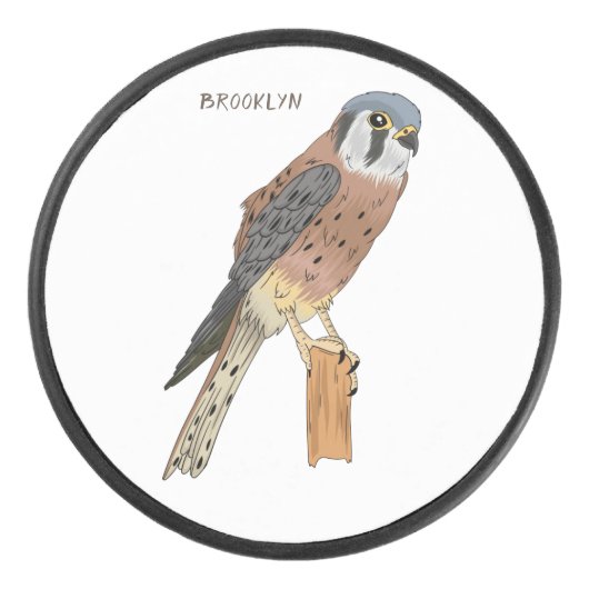 American Kestrel bird illustration  アイスホッケーパック (正面)