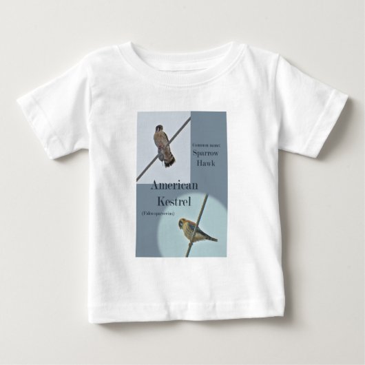 American Kestrel (Falco sparverius)アイテム ベビーTシャツ (正面)
