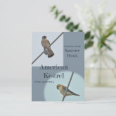 American Kestrel (Falco sparverius)アイテム ポストカード (スタンド正面)