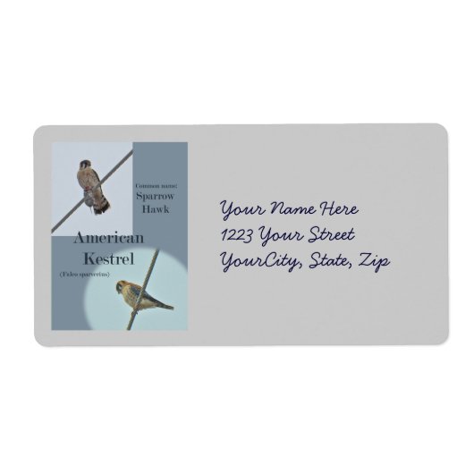 American Kestrel (Falco sparverius)アイテム ラベル (正面)