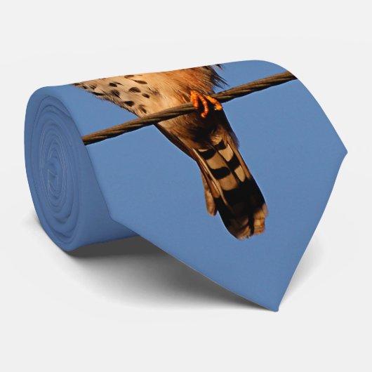 American Kestrel on a Wire ネクタイ (ロール)