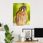 American Kestrel Portrait Wall Art Colorful Print ポスター (ホームオフィス)