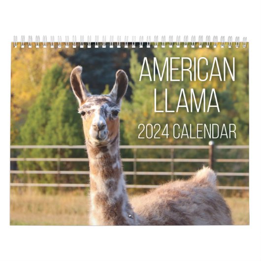 American Llama 2024カレンダー カレンダー (カバー)