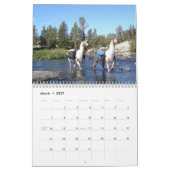 American Llama 2024カレンダー カレンダー (3月 2027)