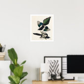American Magpie by Audubon Poster ポスター (ホームオフィス)