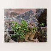 American pika Jigsaw Puzzle ジグソーパズル (横)