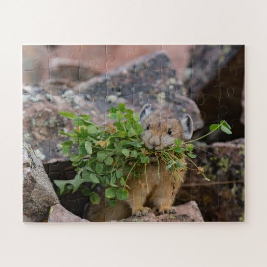 American pika Jigsaw Puzzle  ジグソーパズル (横)