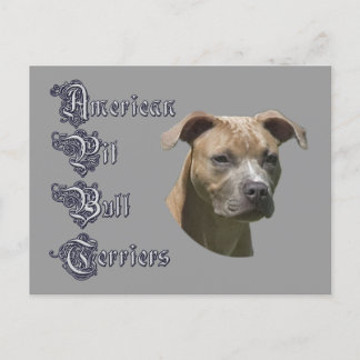 American Pit Bull Terrier(APBT)ポストカード ポストカード