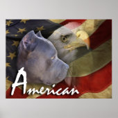 American Pitbull Terrier Dog, Flag, Bald Eagle ポスター (正面)