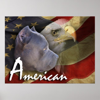 American Pitbull Terrier Dog, Flag, Bald Eagle ポスター