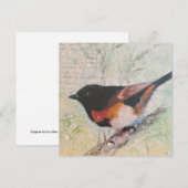 American Redstart Greeting Card シーズンカード (正面/裏面)