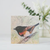 American Redstart Greeting Card シーズンカード (スタンド正面)