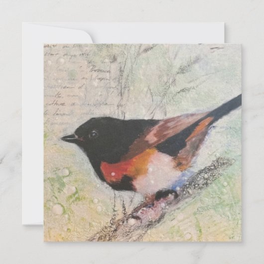 American Redstart Greeting Card シーズンカード (正面)
