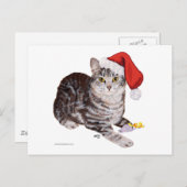 American Shorthair Tabby Cat – クリスマス (正面/裏面)