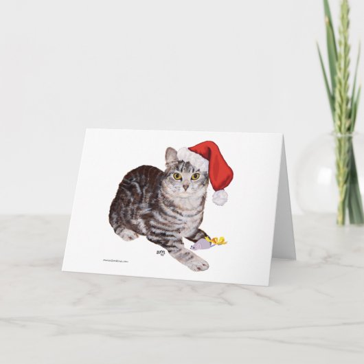 American Shorthair Tabby Cat – クリスマス (正面)