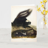 American SkunkまたはストライプのSkunk、by Audubon カード (黄色い花)