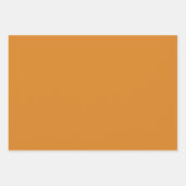 American Southwest Patterned Art And Earthy Colors ラッピングペーパーシート (正面3)