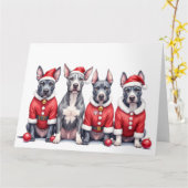 American Staffordshire Terrier Christmas Dress カード (黄色い花)