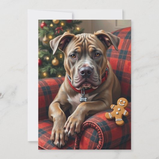 American Staffordshire Terrier Cozy Christmas シーズンカード (正面)