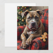 American Staffordshire Terrier Cozy Christmas シーズンカード (正面/裏面)