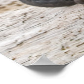 American Staffordshire Terrier - Fine Art Print ポスター (角)