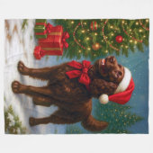 American Water Spaniel Holiday フリースブランケット (正面(横))
