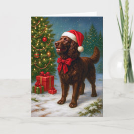 American Water Spaniel Holiday Card シーズンカード