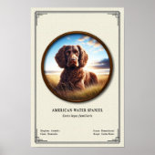 American Water Spaniel Zoology Series ポスター (正面)