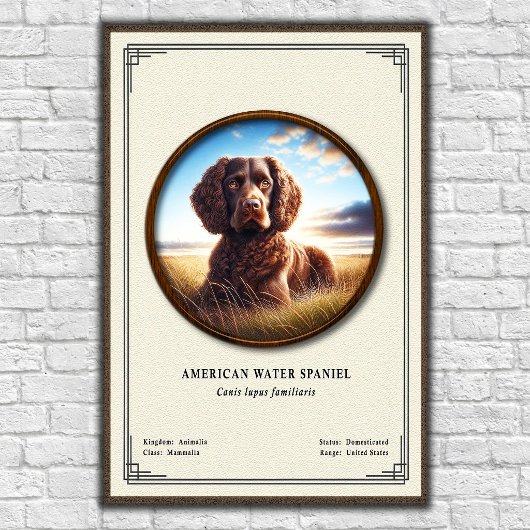 American Water Spaniel Zoology Series ポスター