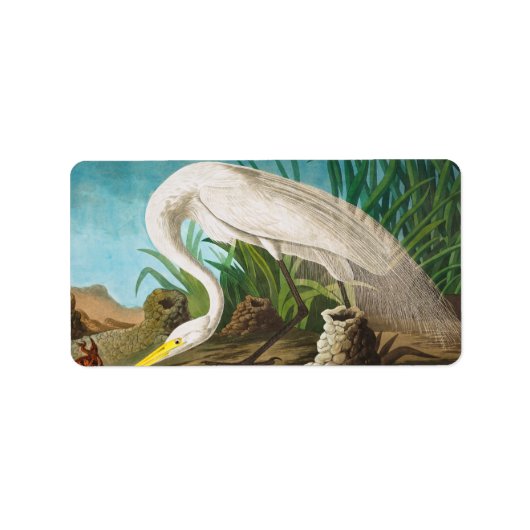 American White Heron by John James Audubon ラベル (正面)