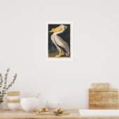 American White Pelican by Audubon Poster ポスター (キッチン)