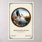 American White Pelican Zoology Series Poster ポスター (正面)