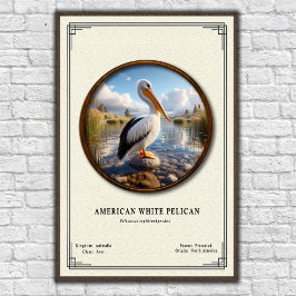 American White Pelican Zoology Series Poster ポスター