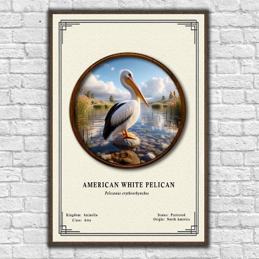 American White Pelican Zoology Series Poster ポスター