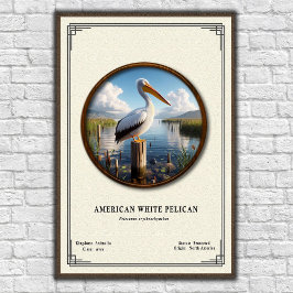 American White Pelican Zoology Series Poster ポスター