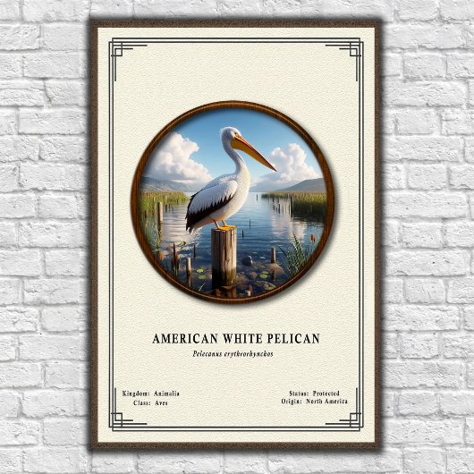 American White Pelican Zoology Series Poster ポスター