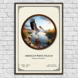 American White Pelican Zoology Series Poster ポスター